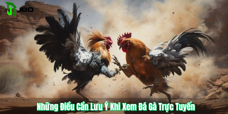 Những Điều Cần Lưu Ý Khi Xem Đá Gà Trực Tuyến